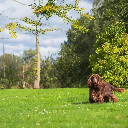 Villa La Baronnerie Normande - Piscine Et Jacuzzi Baromesnil