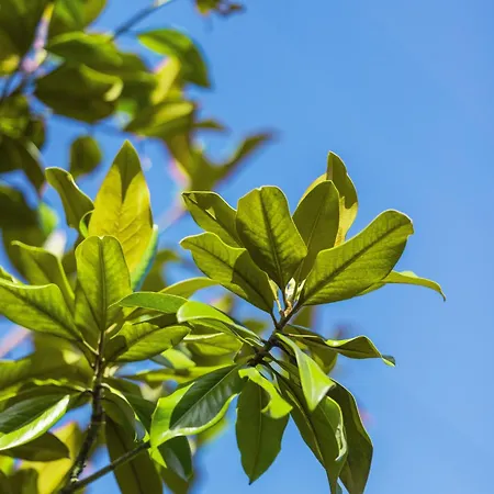 La Baronnerie Normande - Piscine Et Jacuzzi