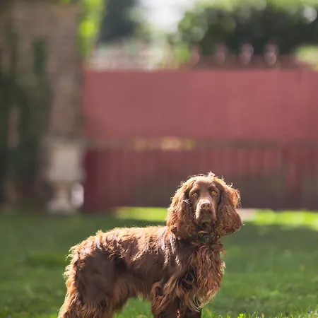 Villa La Baronnerie Normande - Piscine Et Jacuzzi