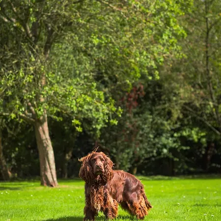 Villa La Baronnerie Normande - Piscine Et Jacuzzi