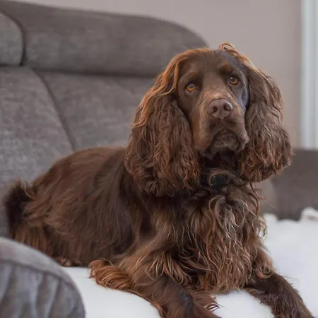 Villa La Baronnerie Normande - Piscine Et Jacuzzi *