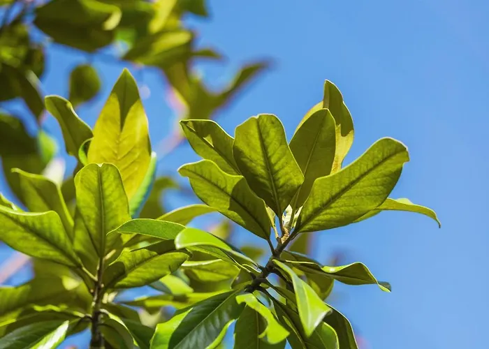 La Baronnerie Normande - Piscine Et Jacuzzi
