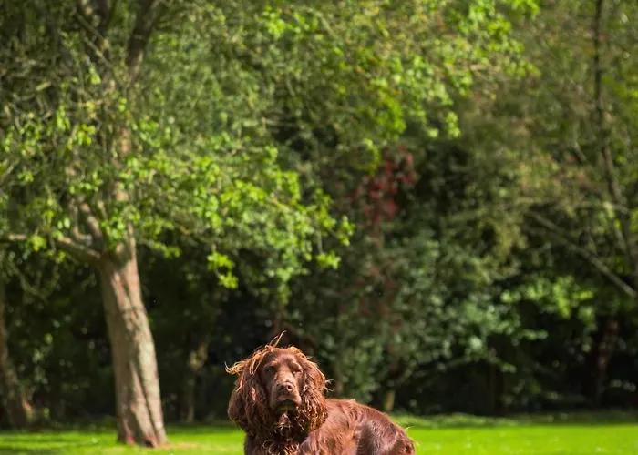 Villa La Baronnerie Normande - Piscine Et Jacuzzi